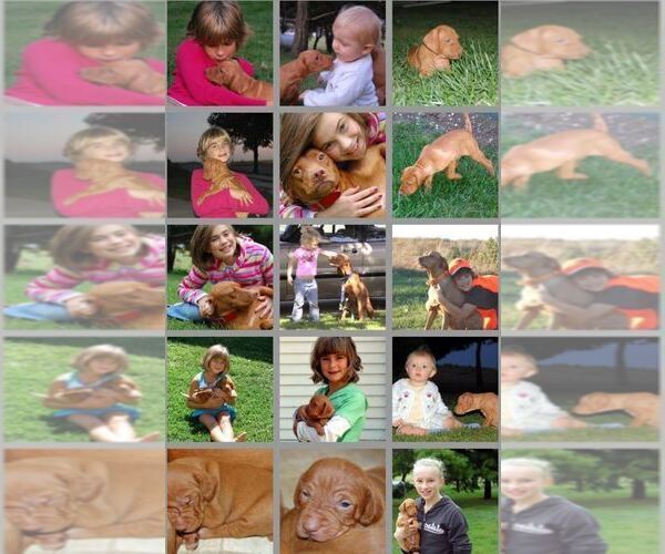 Medium Photo #9  Breeder Profile in HARLAN, IA, USA