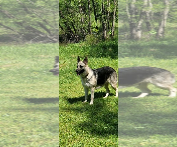 Medium Photo #6  Breeder Profile in HUMBOLDT, TN, USA