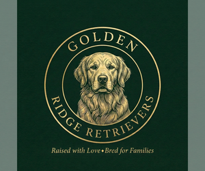 Golden Retriever Dog Breeder near PANA, IL, USA