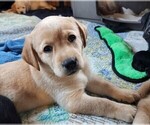 Small #6 Breeder Profile image