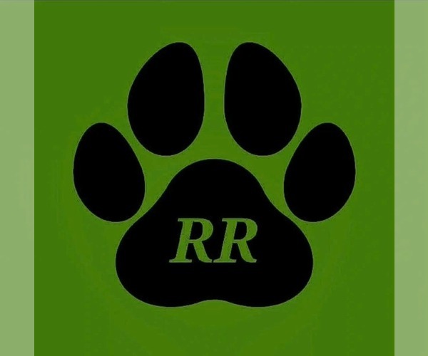 Medium Photo #1  Breeder Profile in TANGENT, OR, USA