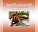 Small #1 Breeder Profile image