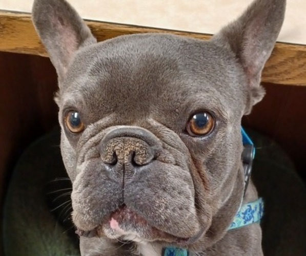 Medium Photo #1  Breeder Profile in STEVENSVILLE, MT, USA