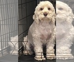Small #7 Breeder Profile image