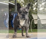 Small #16 Breeder Profile image
