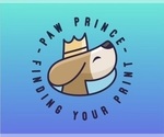 Small #3 Breeder Profile image