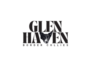 Border Collie Dog Breeder near PEARL CITY, IL, USA