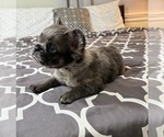 Small #18 Breeder Profile image