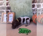 Small #9 Breeder Profile image