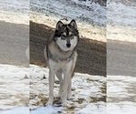 Small #8 Breeder Profile image