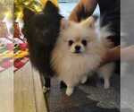 Small #2 Breeder Profile image