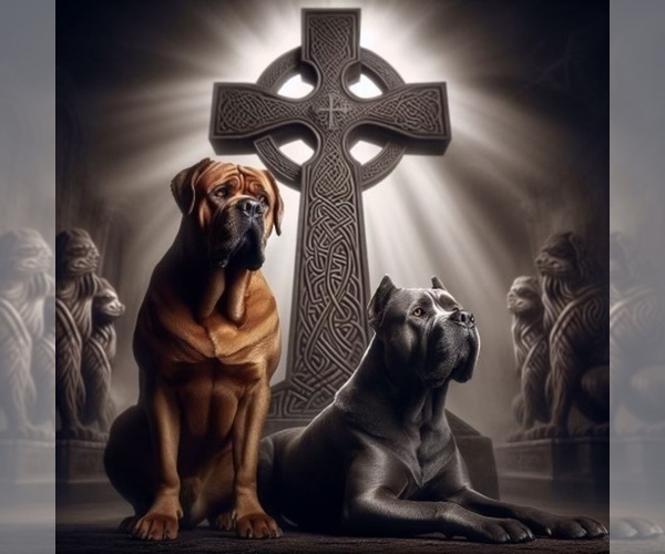 Medium Photo #1  Breeder Profile in CUMMING, GA, USA