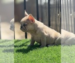 Small #6 Breeder Profile image