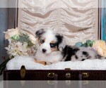 Small #26 Breeder Profile image