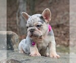 Small #6 Breeder Profile image
