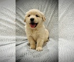 Small #1 Breeder Profile image