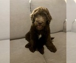 Small #6 Breeder Profile image