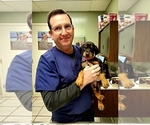 Small #44 Breeder Profile image