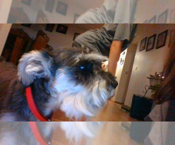 Medium Photo #1  Breeder Profile in FOND DU LAC, WI, USA