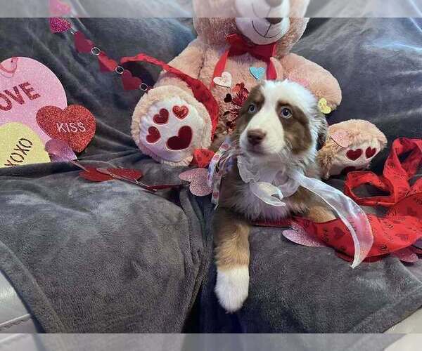 Medium Photo #25  Breeder Profile in HARRISON, OH, USA