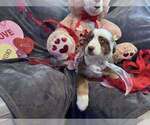 Small #24 Breeder Profile image