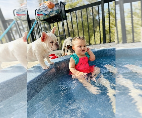 Medium Photo #7  Breeder Profile in LAKE CITY, FL, USA