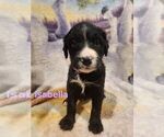Small #4 Breeder Profile image