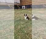 Small #3 Breeder Profile image