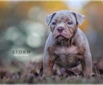 Small #7 Breeder Profile image