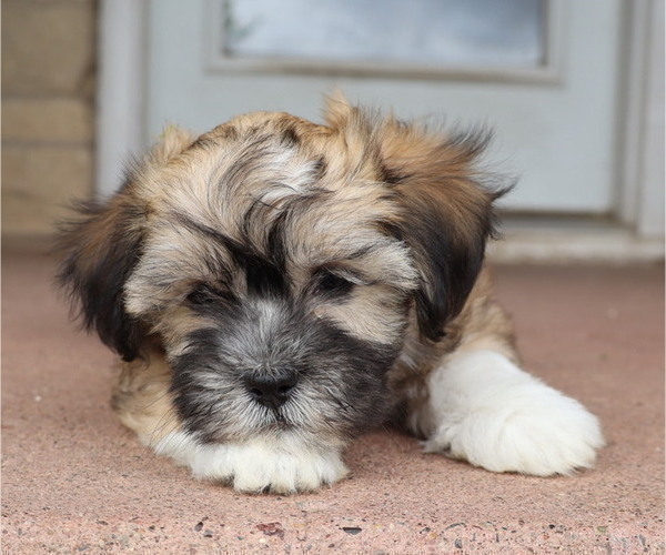 Medium Photo #1  Breeder Profile in THORP, WI, USA