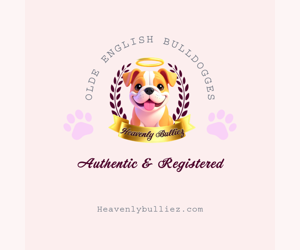 Medium Photo #4  Breeder Profile in AUSTIN, TX, USA