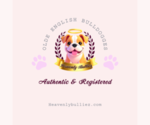 Small #3 Breeder Profile image