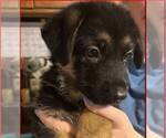 Small #16 Breeder Profile image
