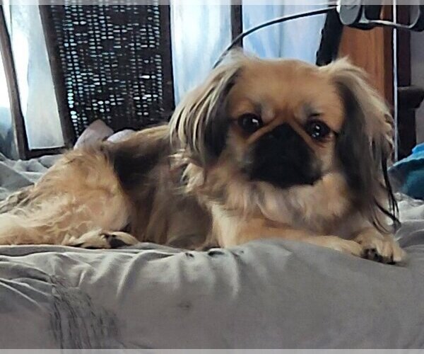 Medium Photo #1  Breeder Profile in FAIRFAX, OK, USA