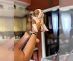 Small #4 Breeder Profile image