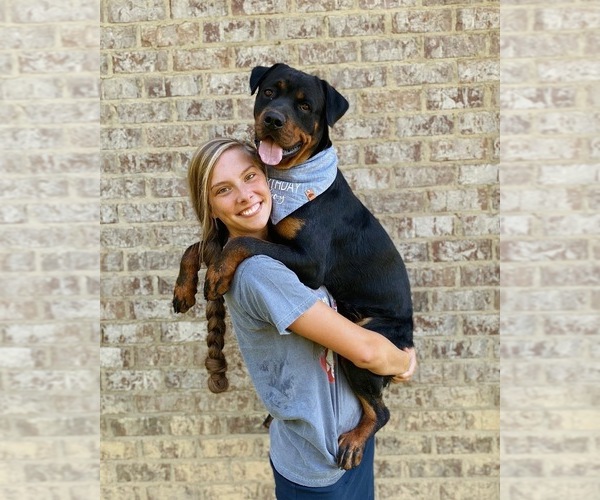 Medium Photo #1  Breeder Profile in ARAB, AL, USA