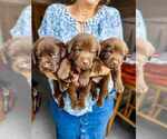 Small #13 Breeder Profile image