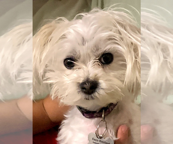 Medium Photo #15  Breeder Profile in FARMINGTON, MN, USA