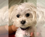 Small #14 Breeder Profile image