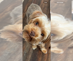 Small #27 Breeder Profile image