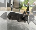 Small #24 Breeder Profile image