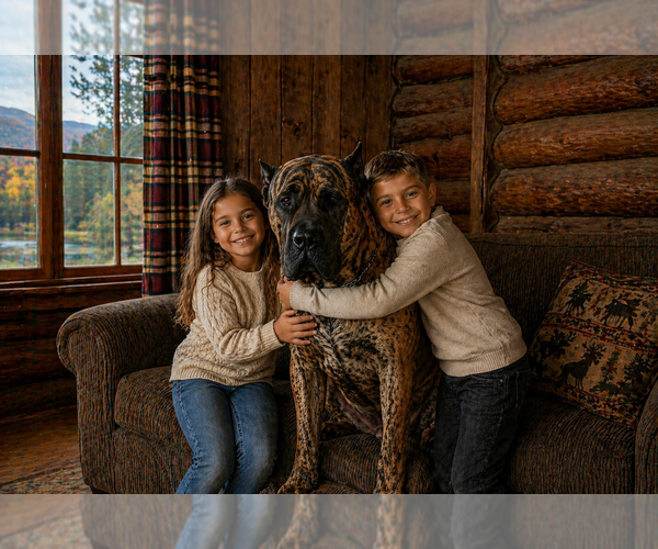 Medium Photo #1  Breeder Profile in ANSON, ME, USA