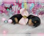 Small #28 Breeder Profile image