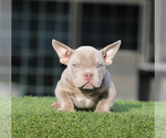 Small #3 Breeder Profile image