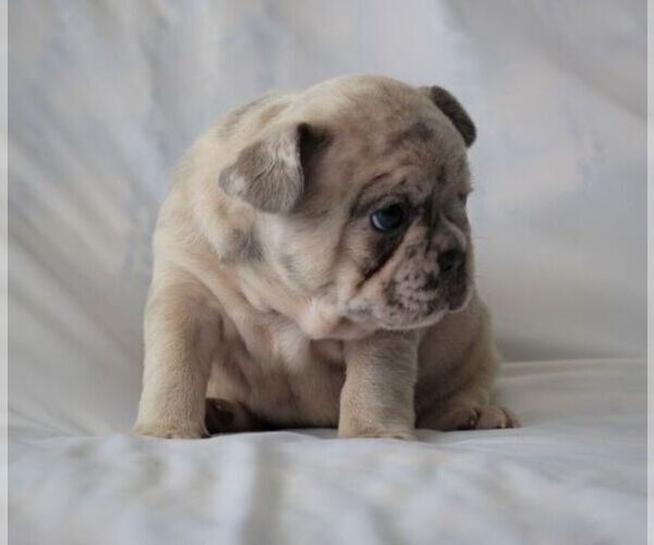 Medium Photo #7  Breeder Profile in HASTINGS, MN, USA