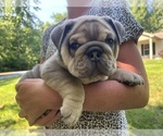 Small #11 Breeder Profile image