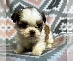Small #19 Breeder Profile image