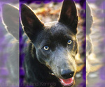 Small #15 Breeder Profile image
