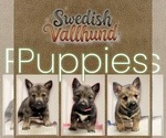 Small #19 Breeder Profile image
