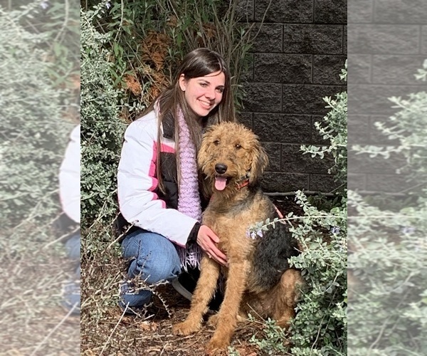 Medium Photo #7  Breeder Profile in GALT, CA, USA